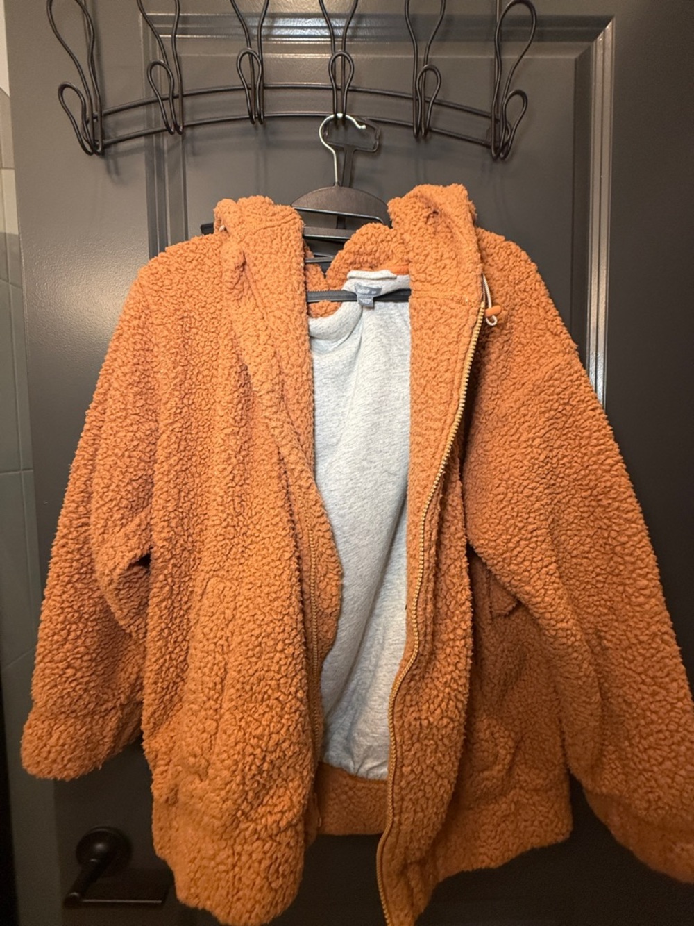 Aerie Teddy Sherpa Zip Jacket